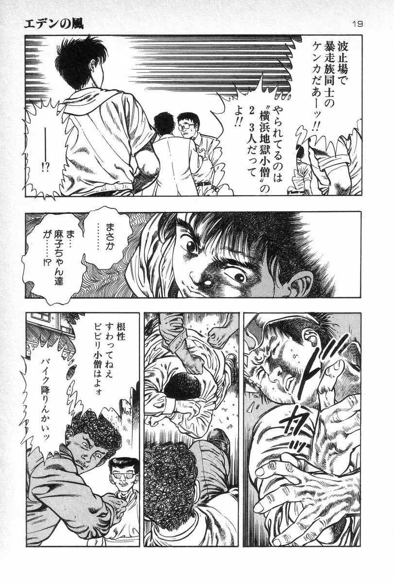 エデンの風 Page.21