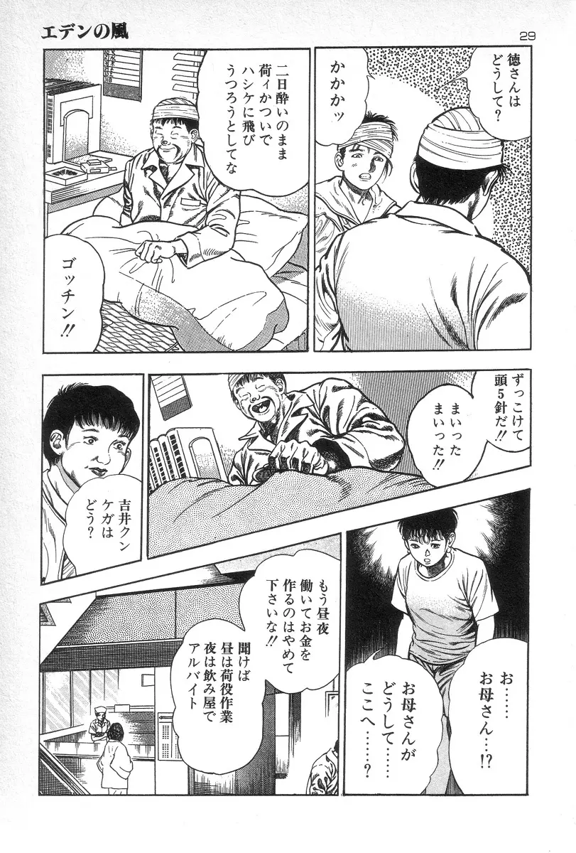 エデンの風 Page.31