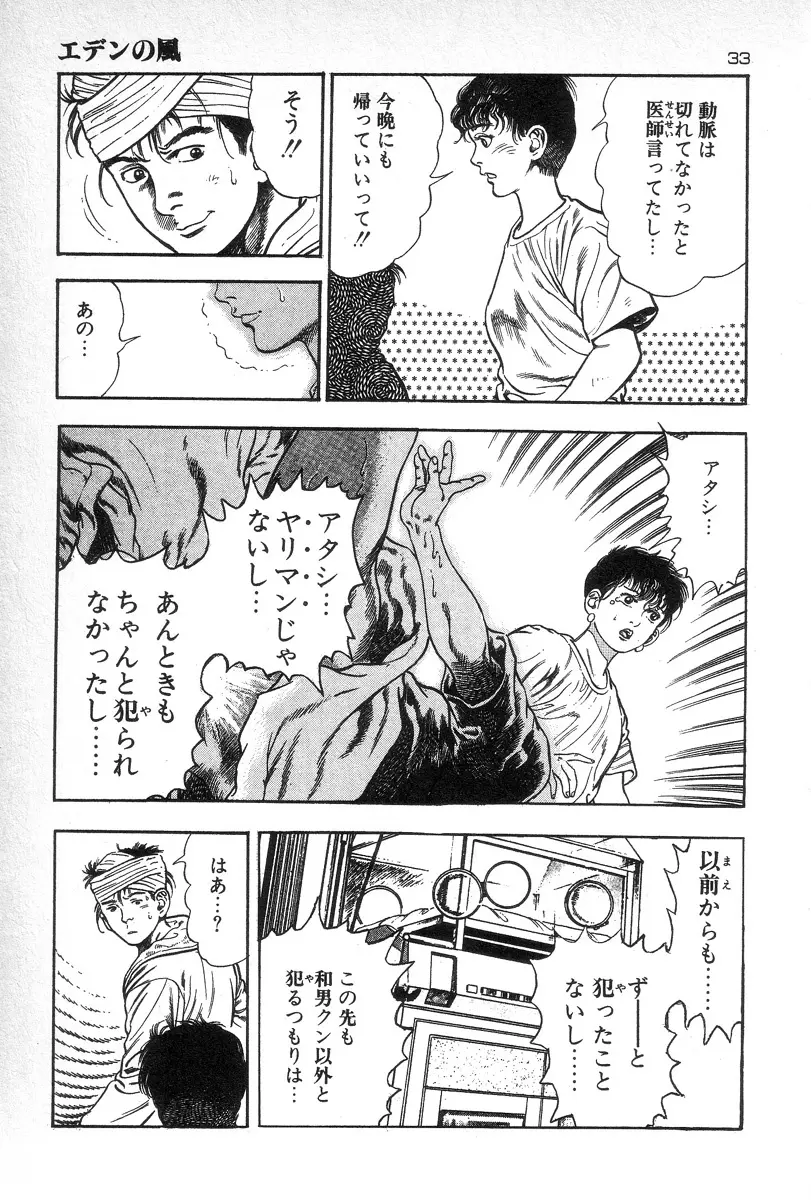 エデンの風 Page.35