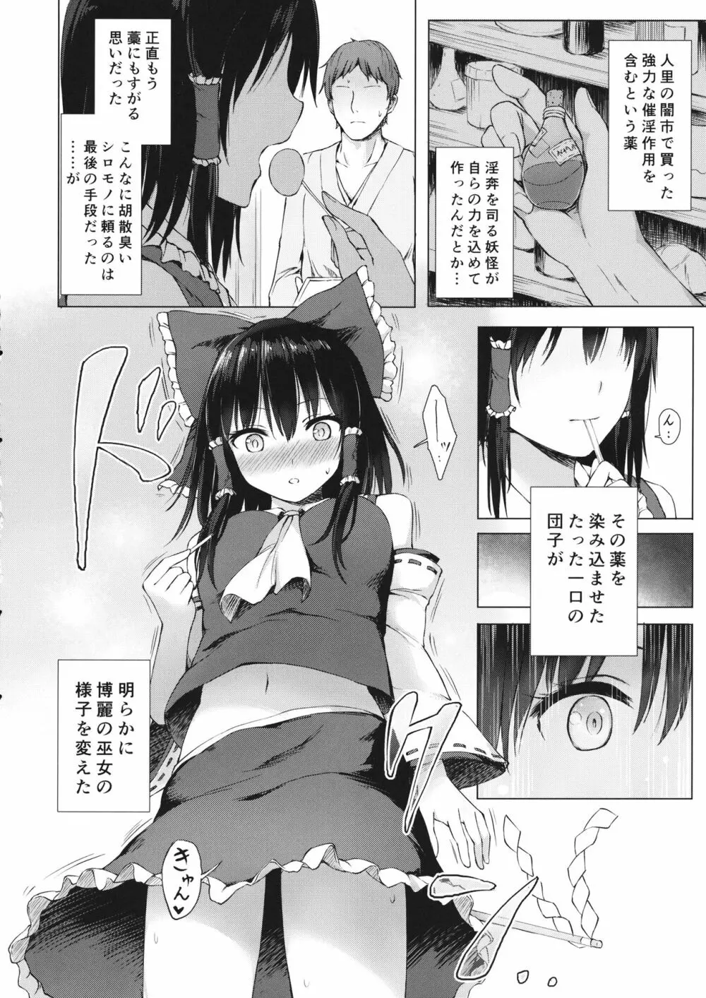 博麗の巫女の堕としかた Page.3