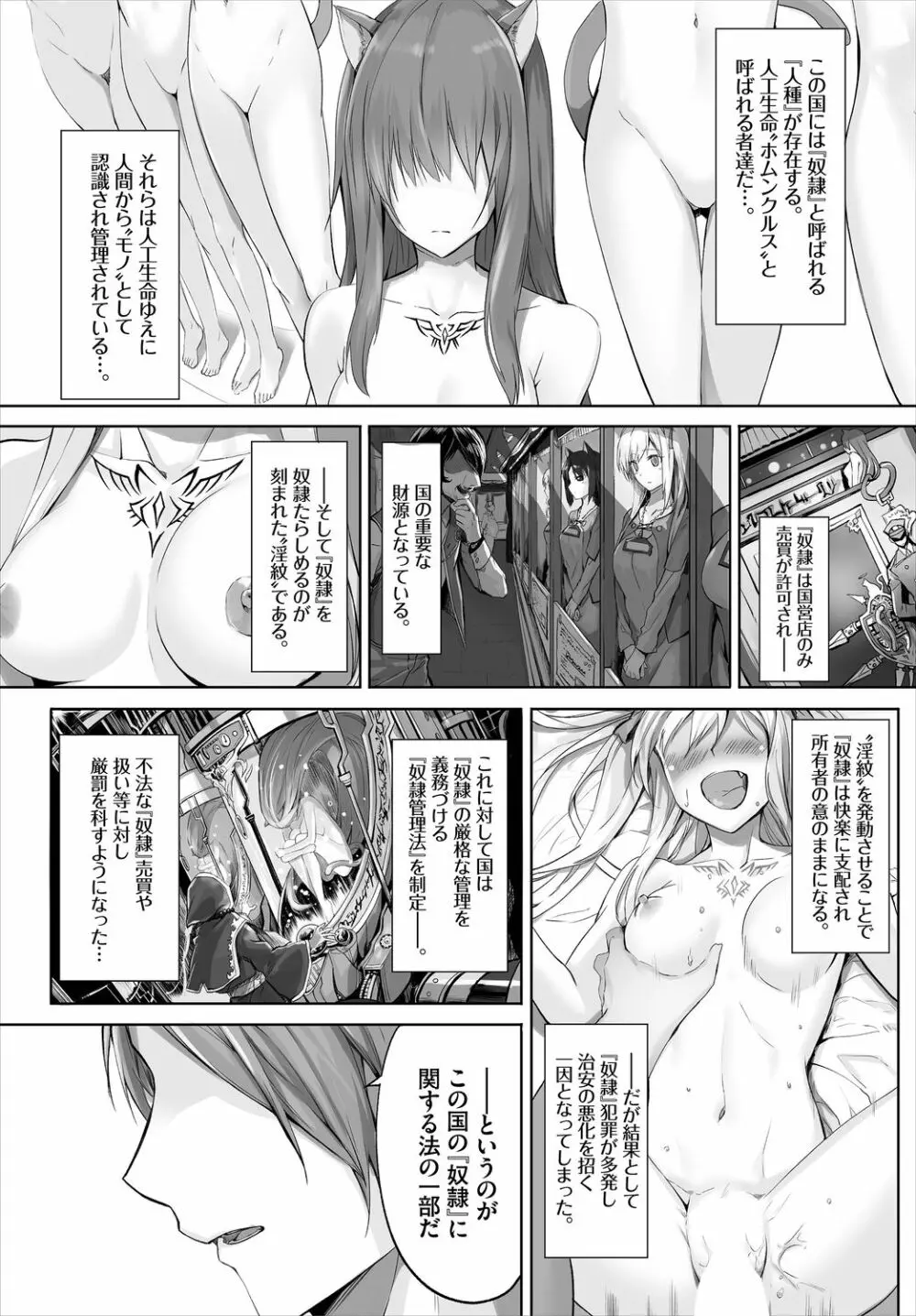 愚か者は猫耳奴隷に依存する～初めての調教生活～ 01 Page.3