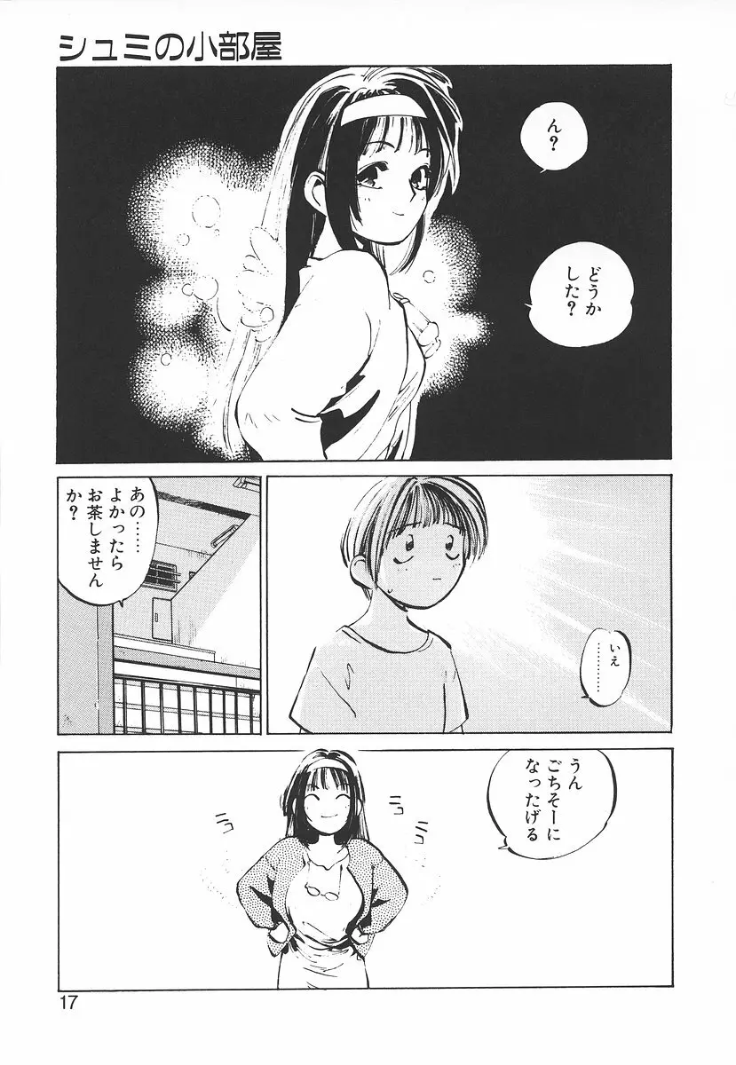 シュミの小部屋 Page.17