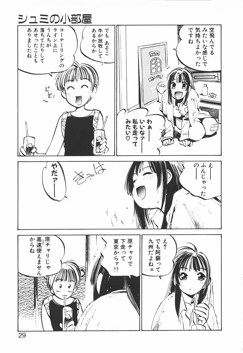 シュミの小部屋 Page.29