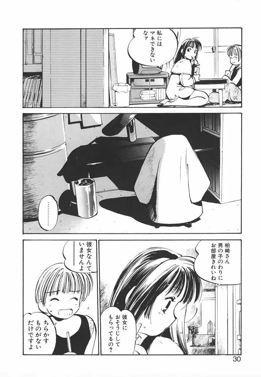 シュミの小部屋 Page.30