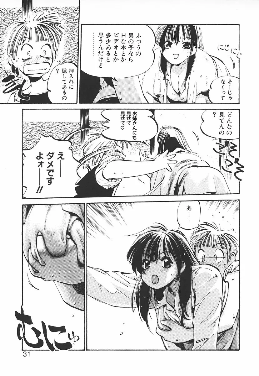 シュミの小部屋 Page.31