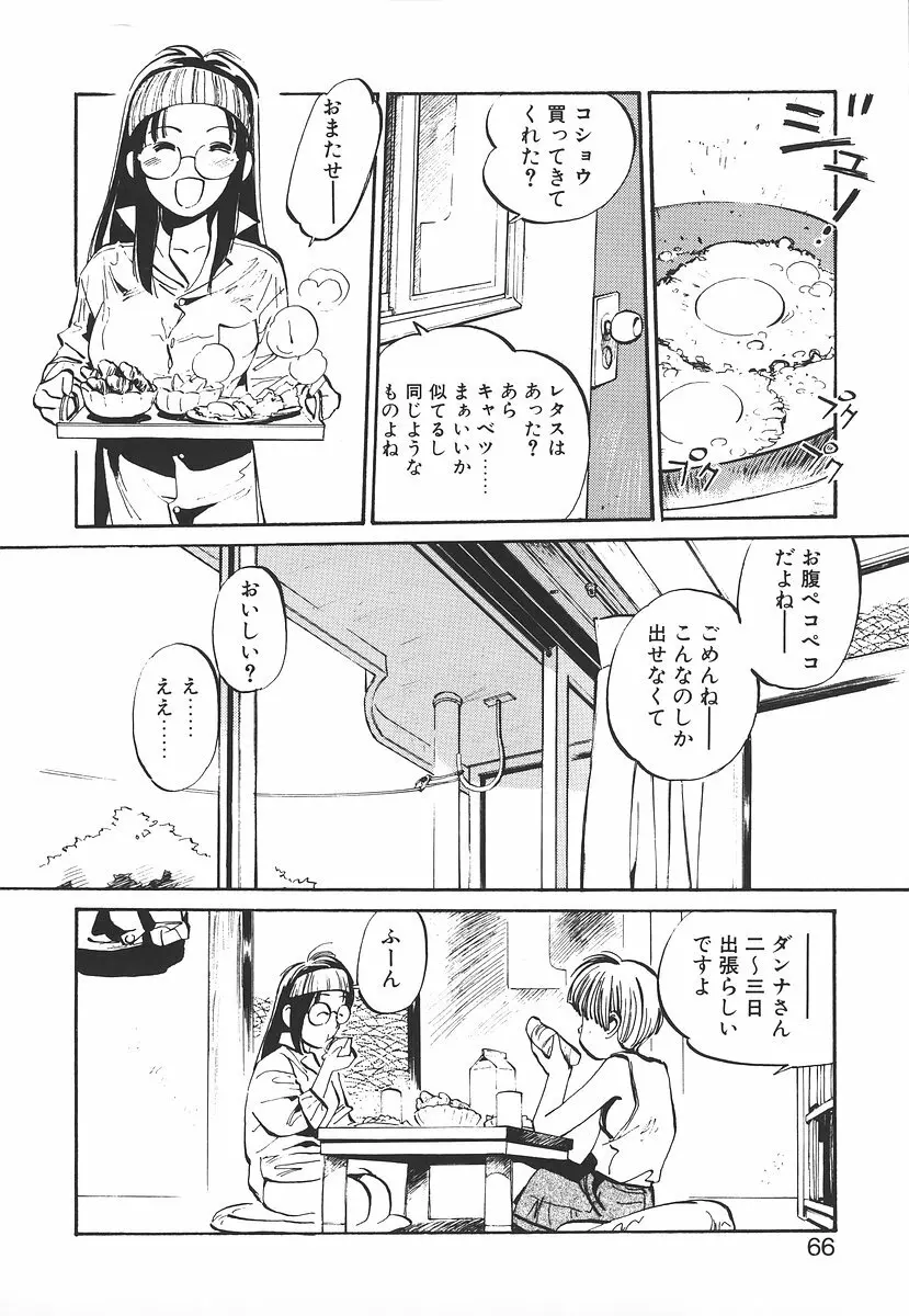 シュミの小部屋 Page.66