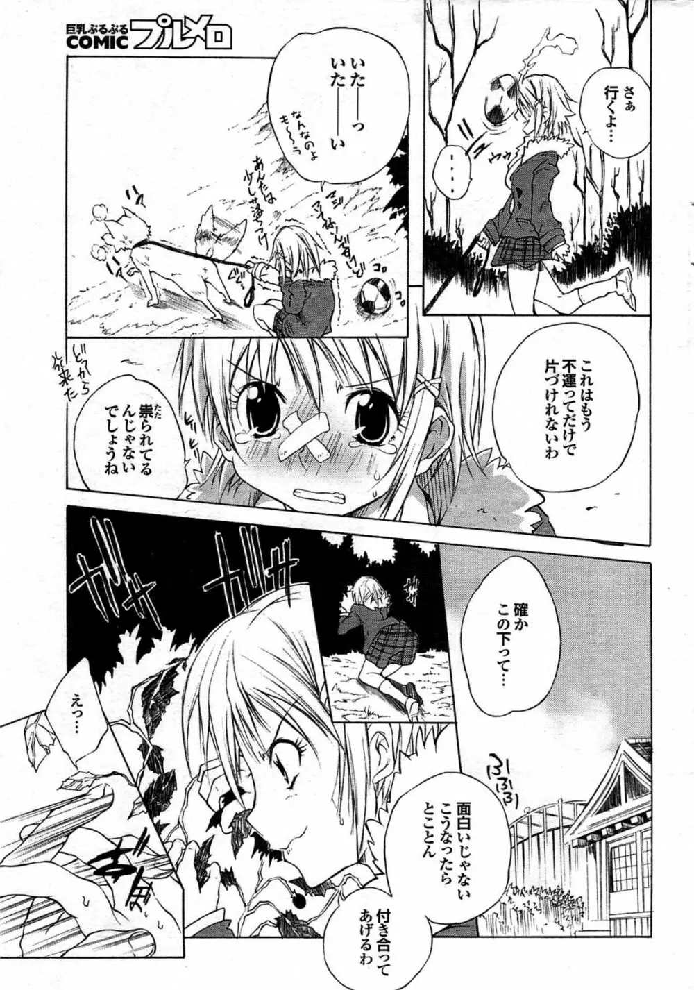 COMIC プルメロ 2008年03月号 vol.15 Page.27