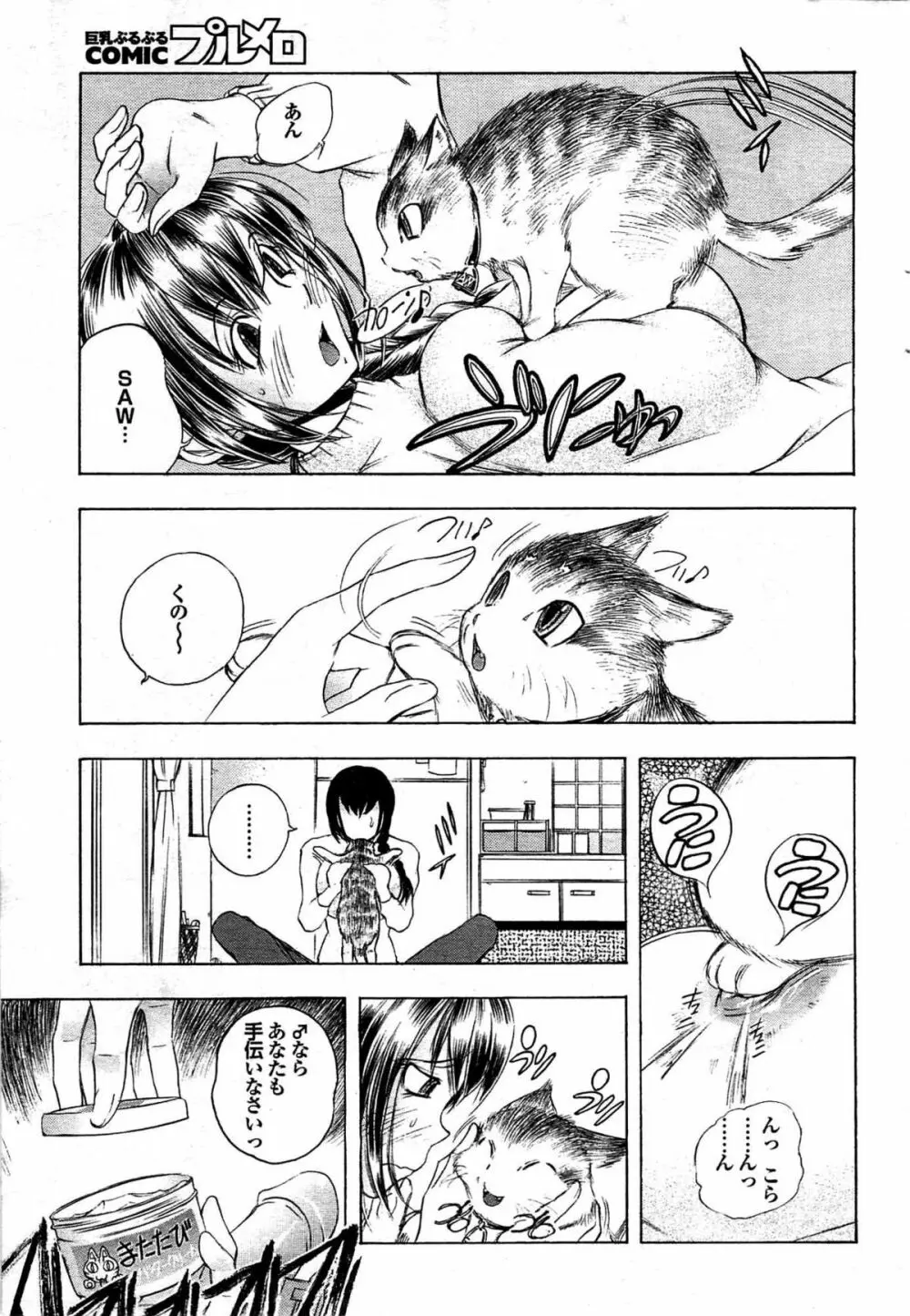 COMIC プルメロ 2008年03月号 vol.15 Page.49