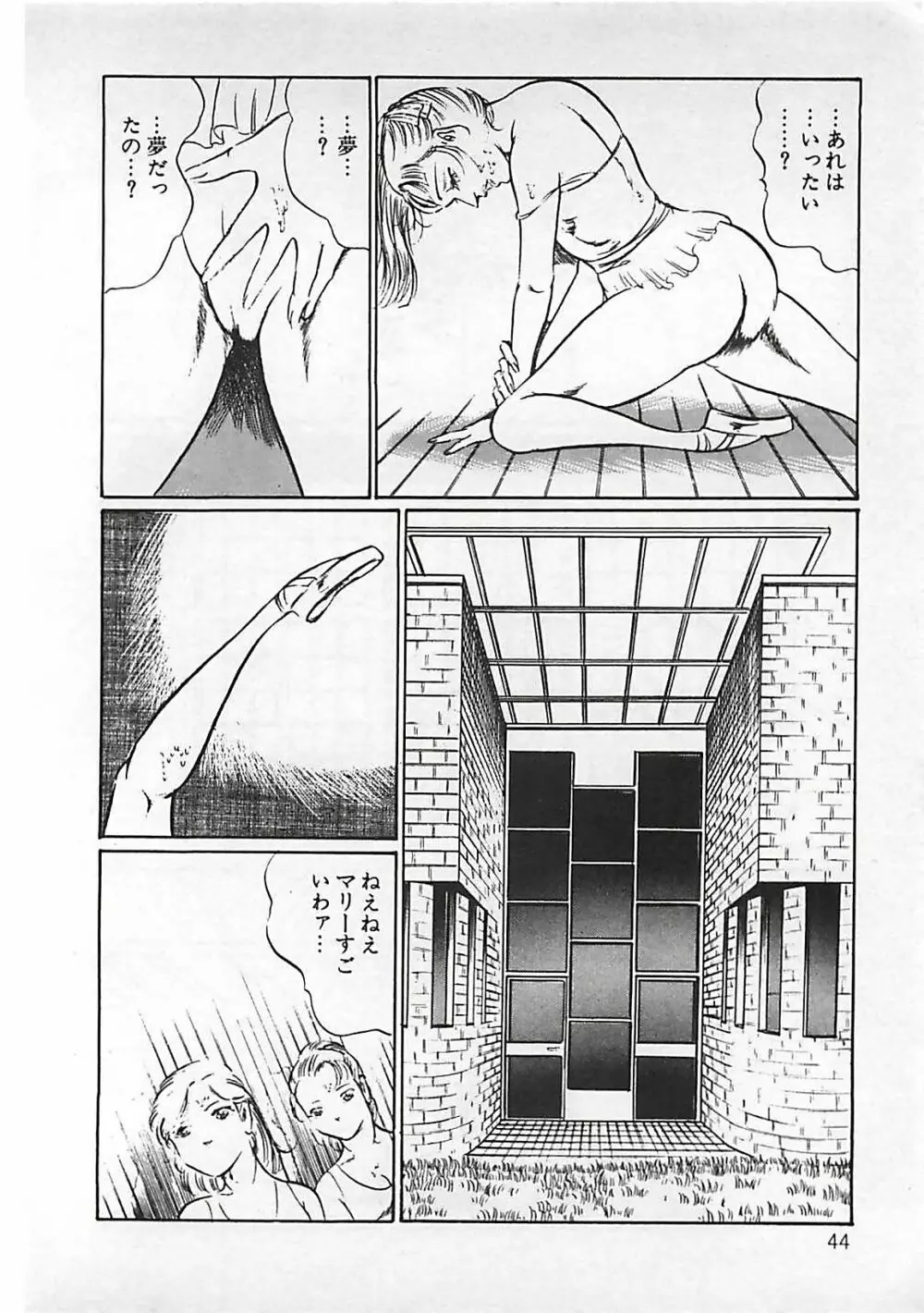 血の舞踏 Page.45