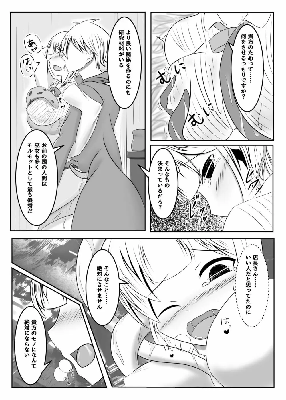 封印の巫女~そして王女は国を滅ぼす~ Page.11
