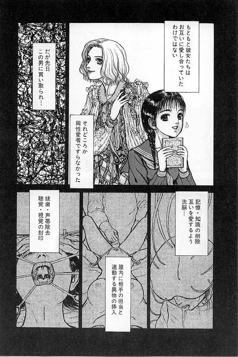 バージェスの乙女たち ワイワクシアの章 Page.88