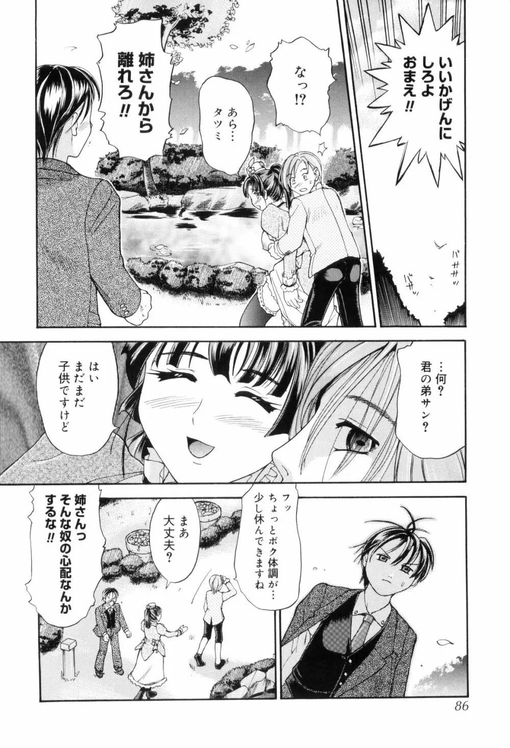 お姉ちゃんとボクの秘蜜 Page.88