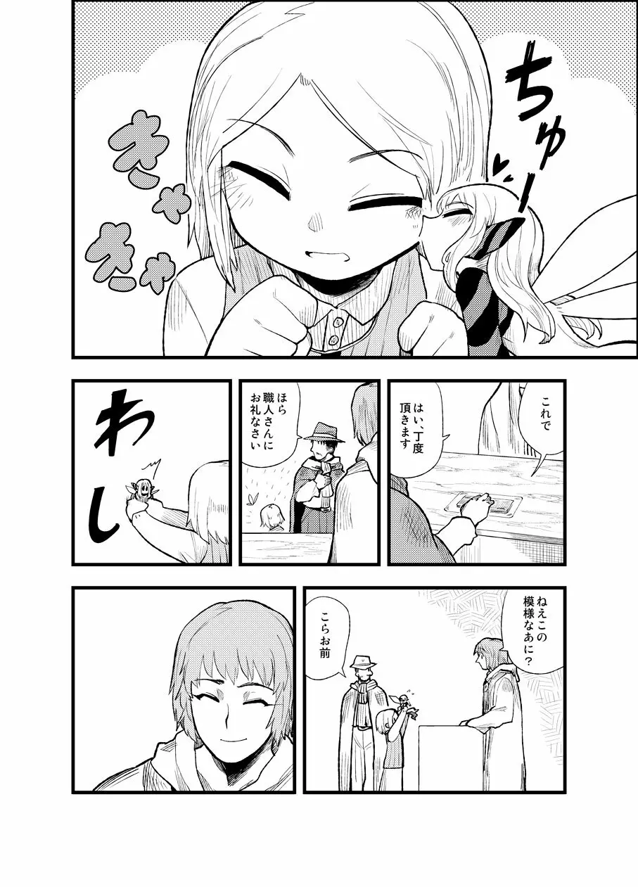 フェルナンデス ピクシー ショップ Page.17