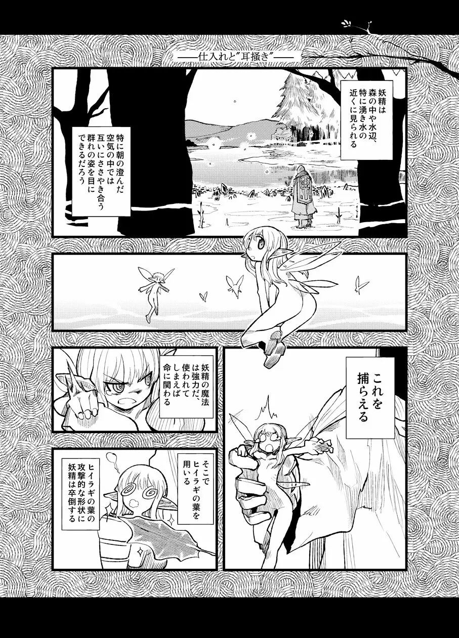 フェルナンデス ピクシー ショップ Page.7