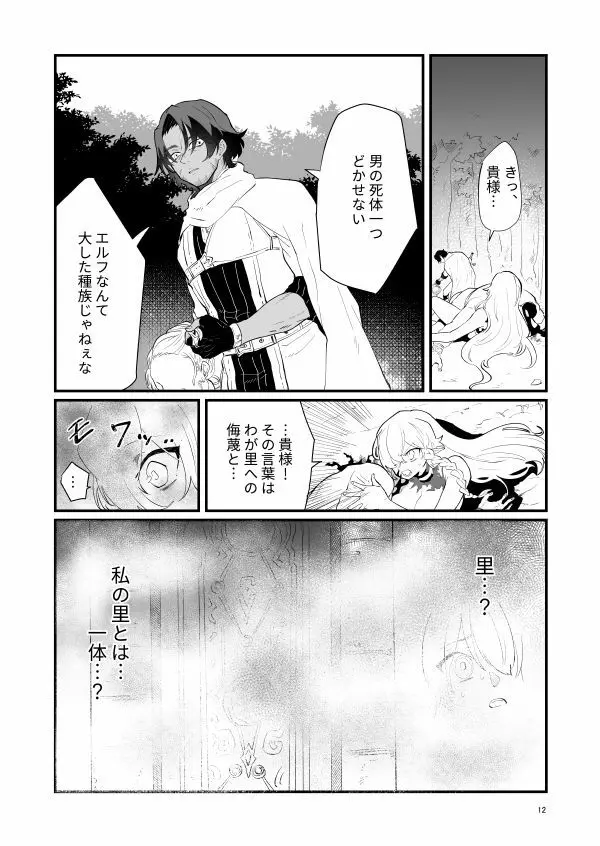 爪弾き者のソムニア1 Page.11