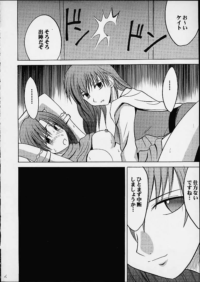 イミテイションゴールド ImitationGold Page.14