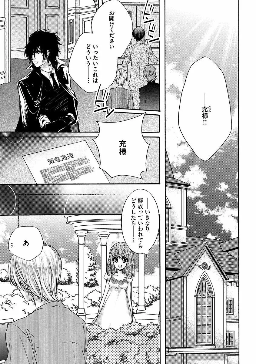 鬼畜兄弟の悶絶調教～私はいいなり奴隷～ Page.113