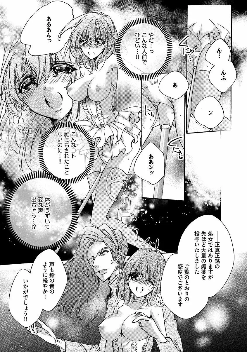 鬼畜兄弟の悶絶調教～私はいいなり奴隷～ Page.13