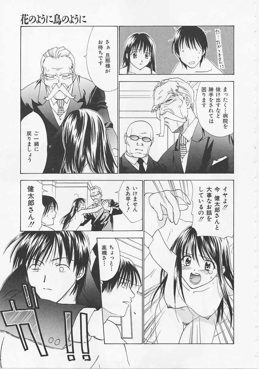 花のように鳥のように Page.41