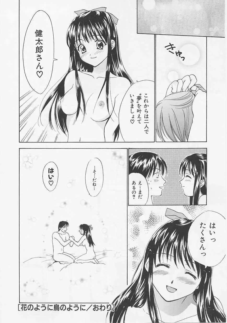 花のように鳥のように Page.72