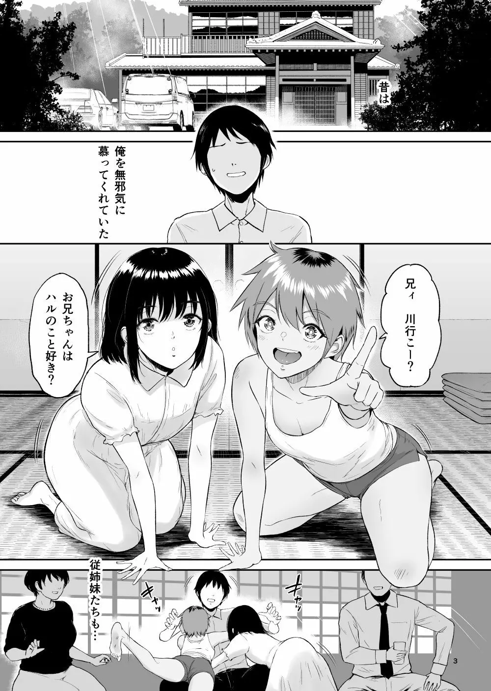 いとことー田舎で再会したむちむち娘二人との種付け交尾記録 Page.2