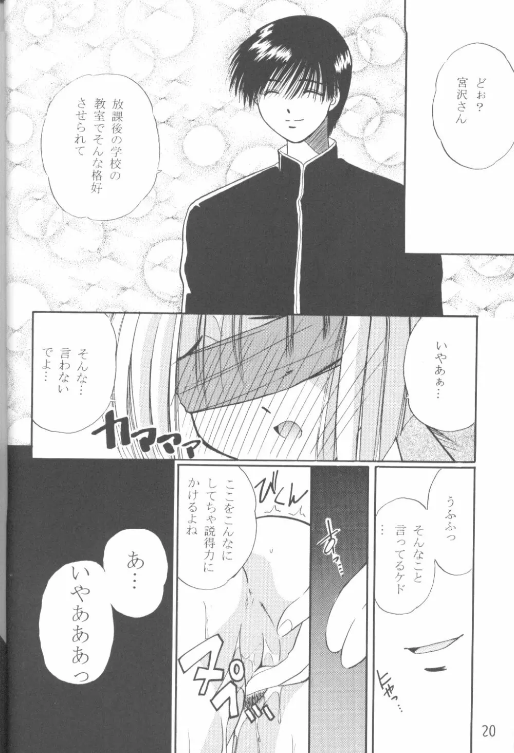 ファンシア育成日記 Page.19