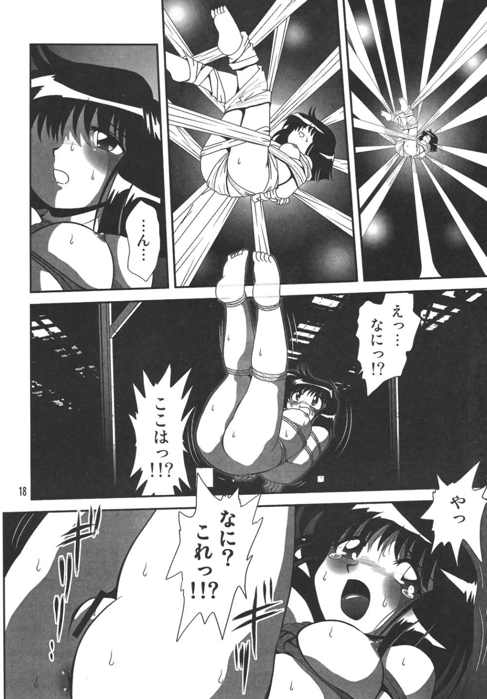 サイレント・サターンSS vol.10 Page.17
