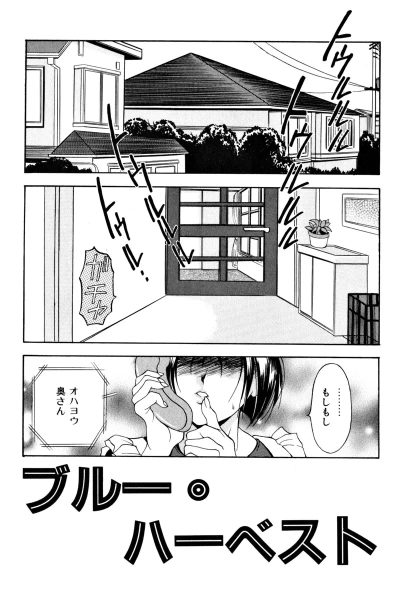 淑女凌辱 Page.10