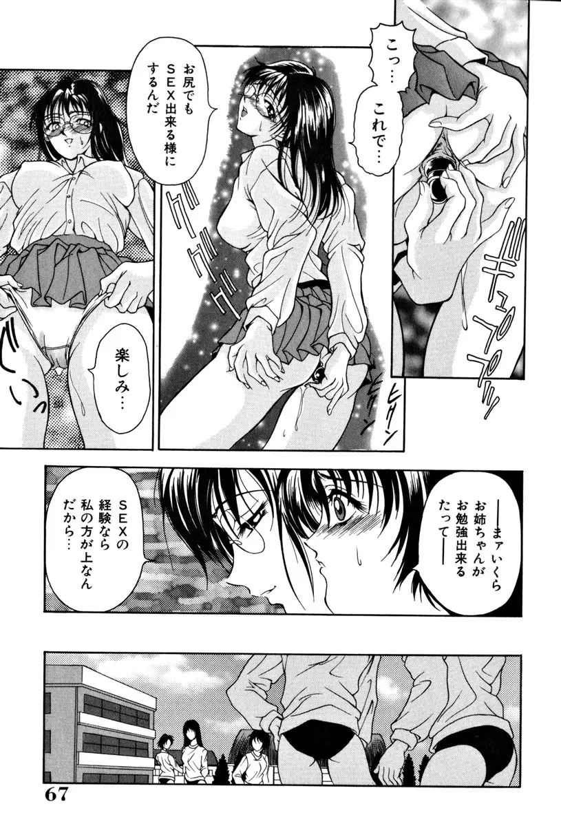 淑女凌辱 Page.69