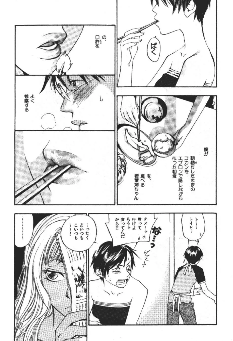 エヴァーグリーン Page.28