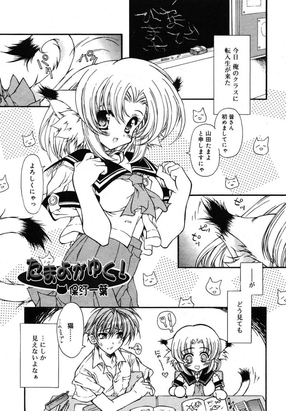 Comic RIN Vol. 10 2005年 10月 Page.253