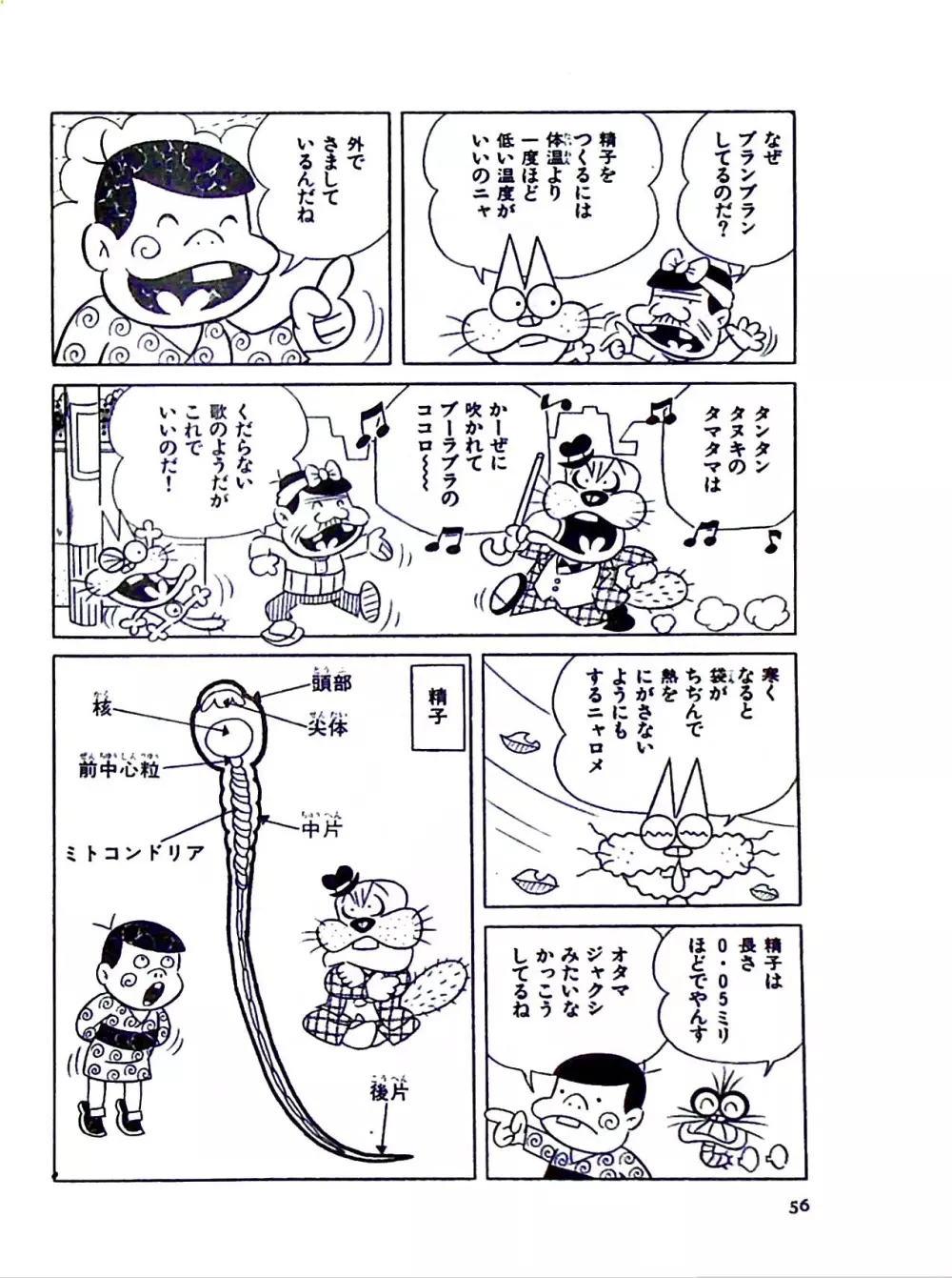 ニャロメのおもしろ性教室 Page.62