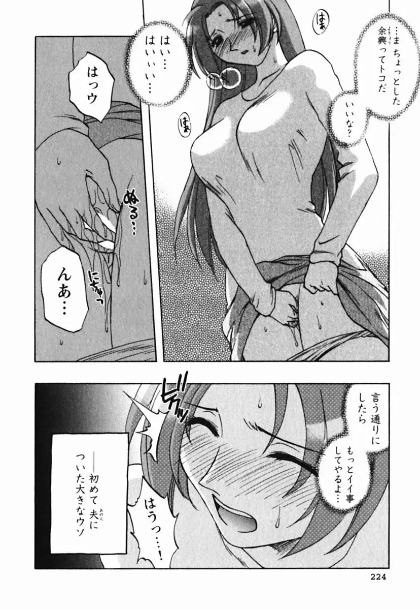 ミセスリンク Page.228