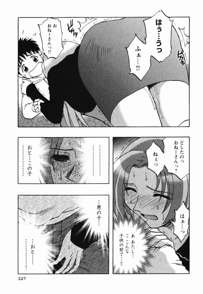 ミセスリンク Page.231