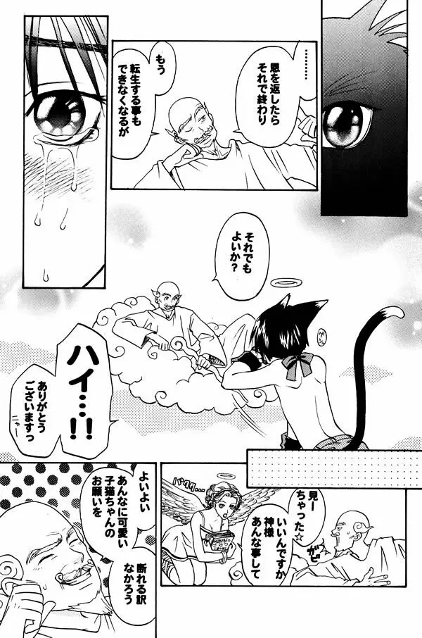 猫耳少年 Page.4