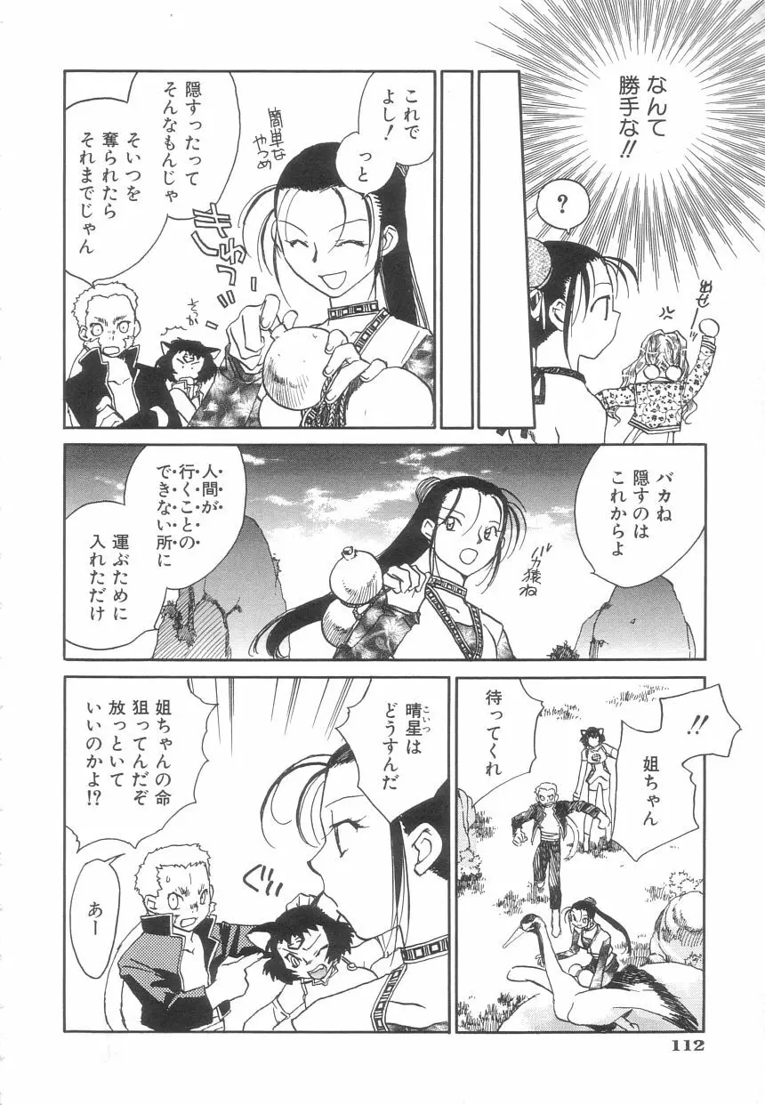 桃華幻戯 上巻 Page.111