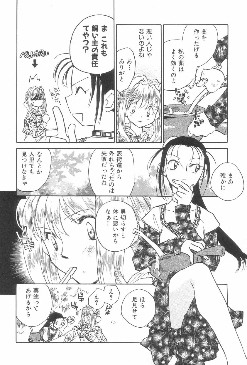 桃華幻戯 上巻 Page.33