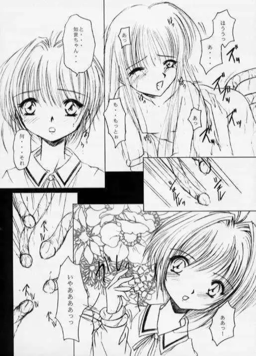 SPLENDID FLOWER GARDEN Page.17