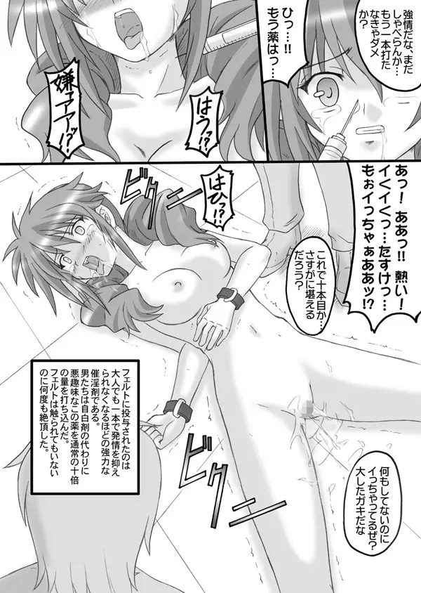 フェルト鹵獲作戦 Page.26