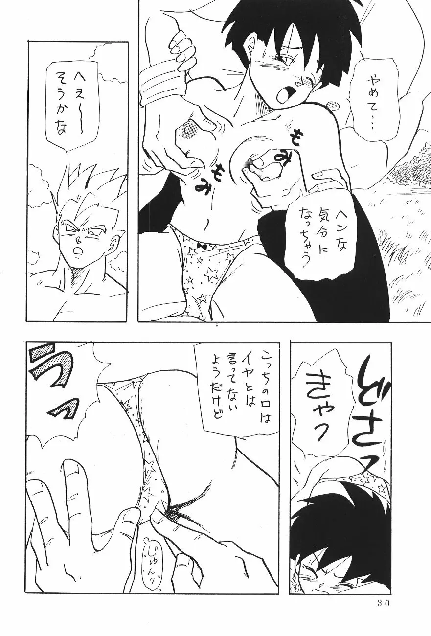 XXX Page.29