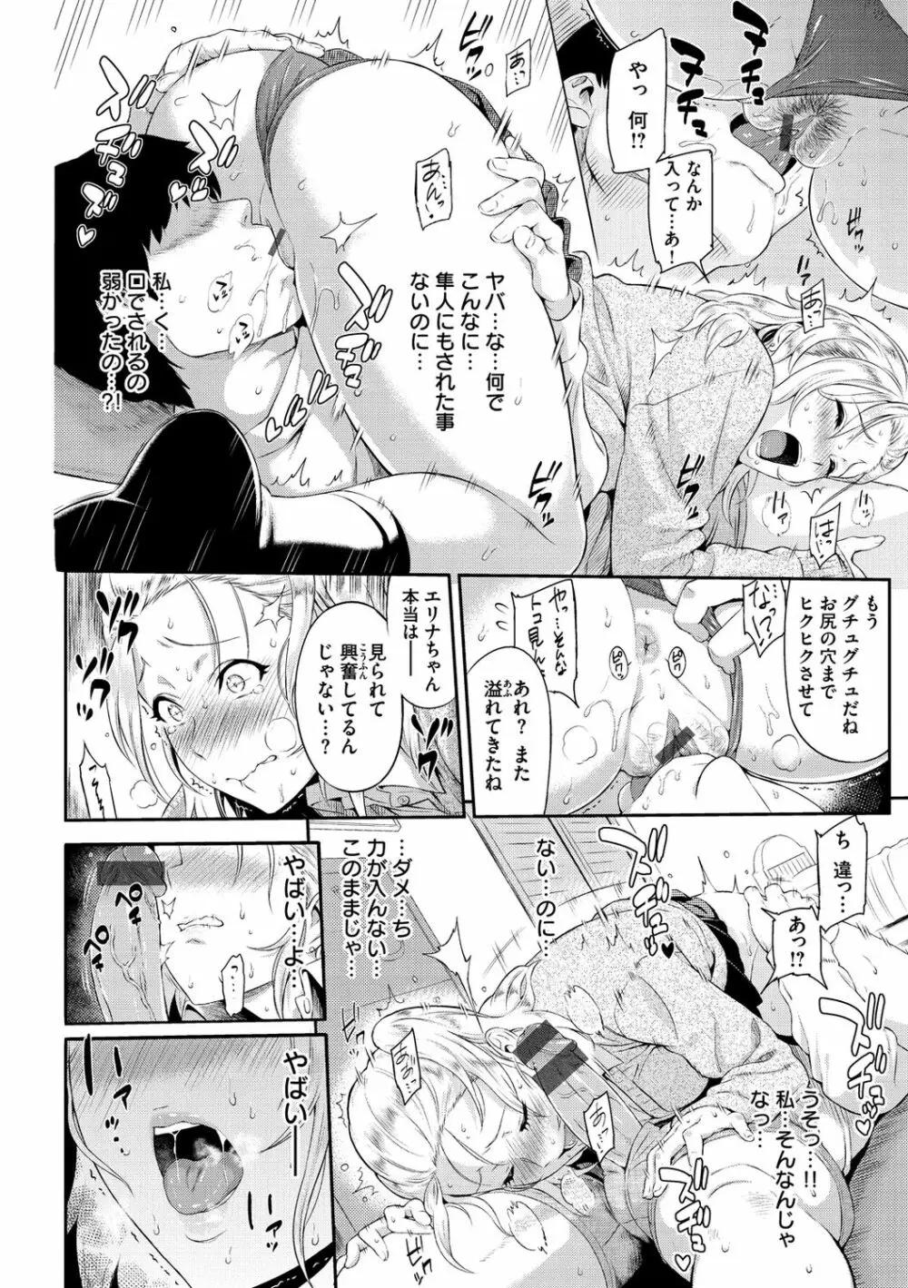 とりこじかけ Page.166