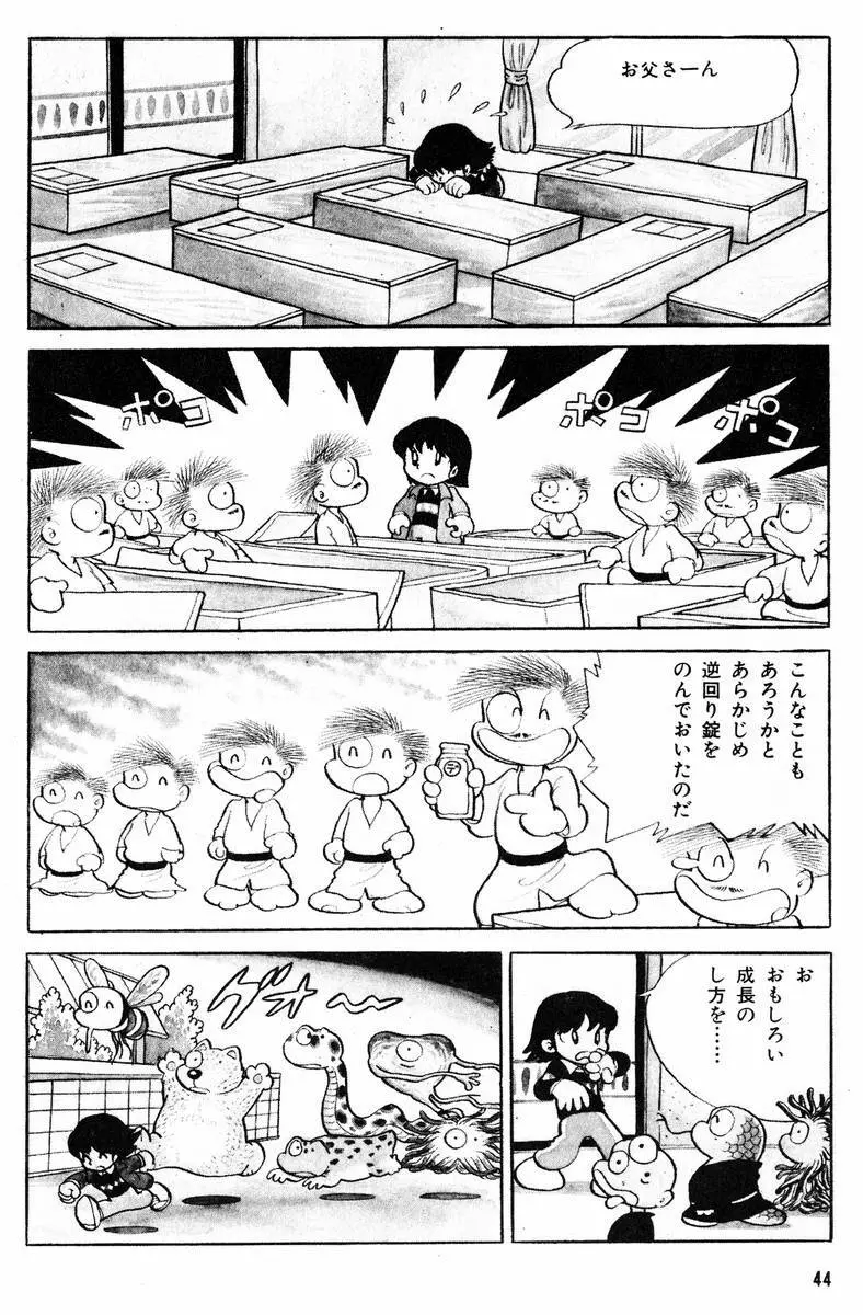 メチル・メタフィジーク Page.45