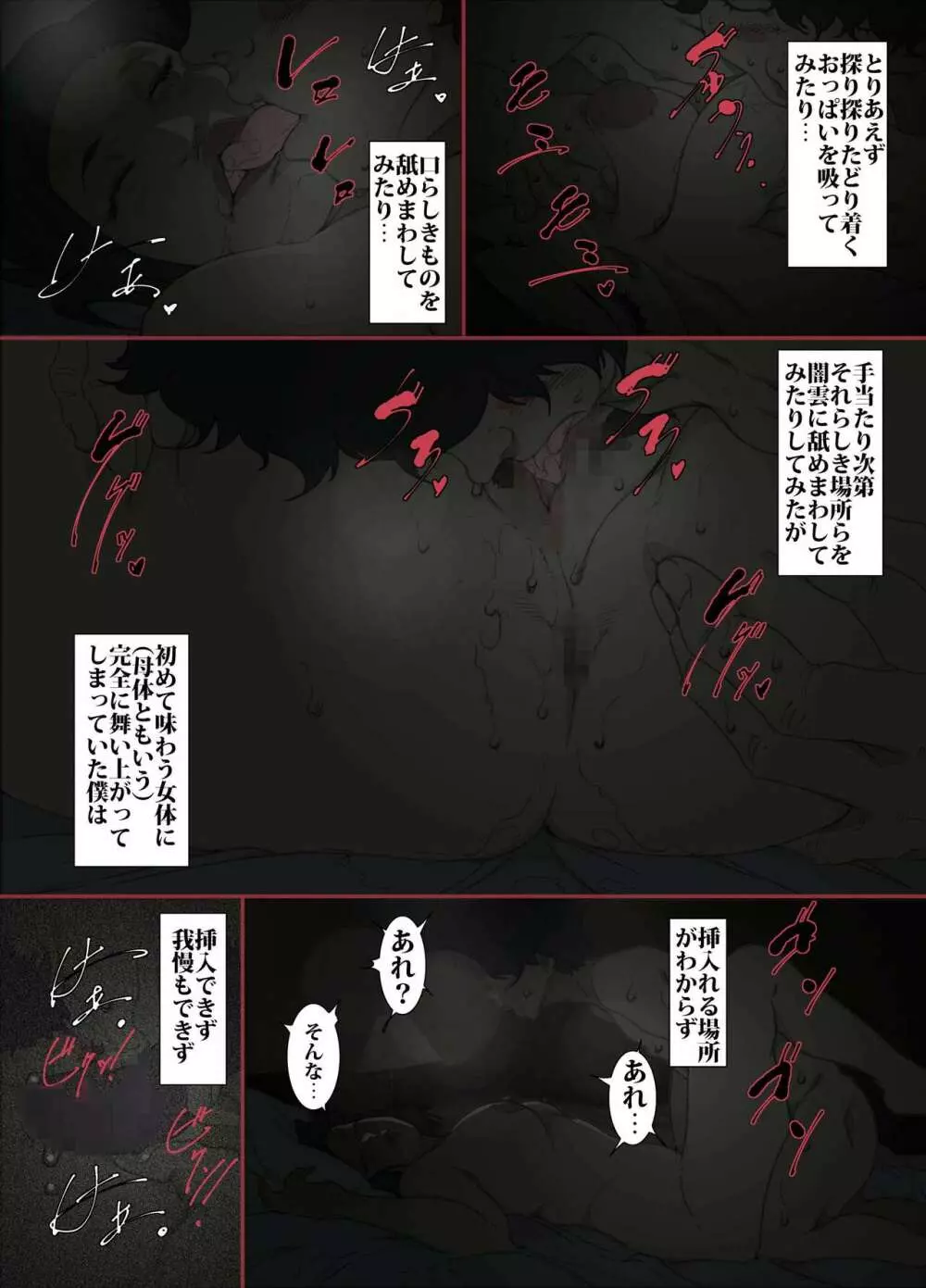 きっつい性格の教育ママが、受験期のみ暗闇の中のみという条件で息子のセックス代理妻を務める話。 Page.11