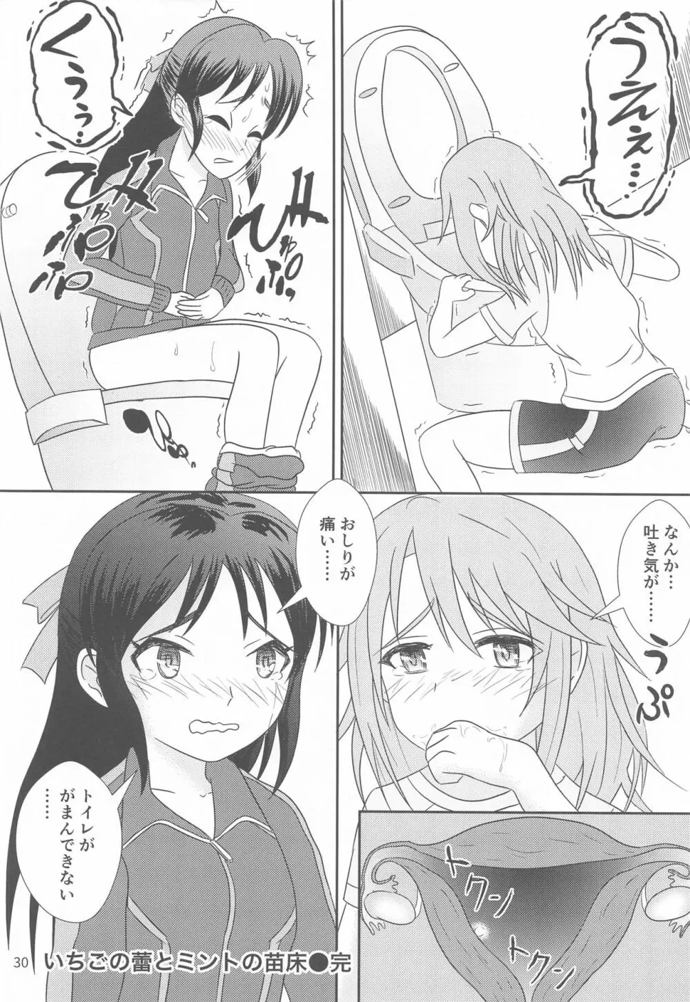 いちごの蕾とミントの苗床 Page.31