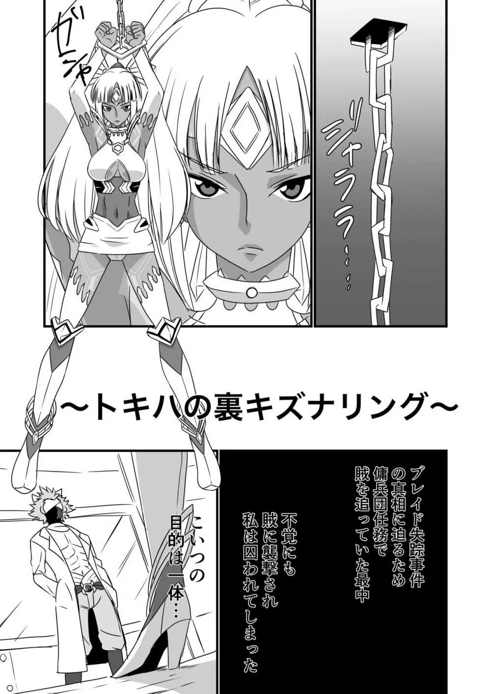 BLADE SET DX Page.214