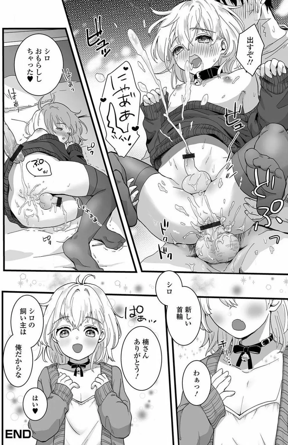 捨て猫シロは俺のペット Page.18