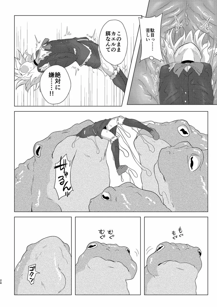 修整・遮断 Page.23