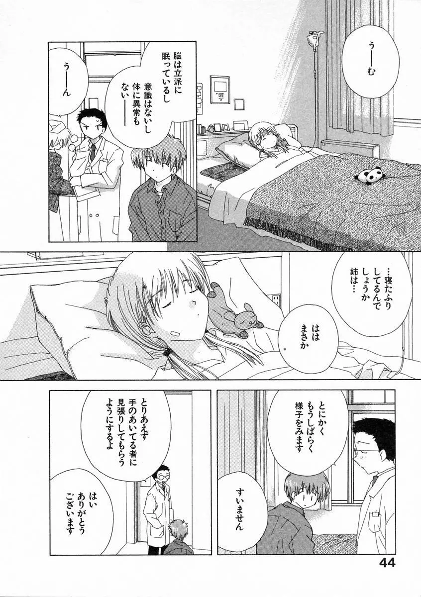 透明な鳥 Page.49