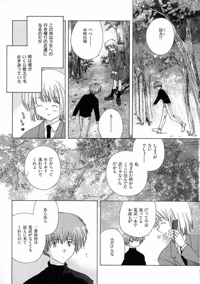 透明な鳥 Page.52