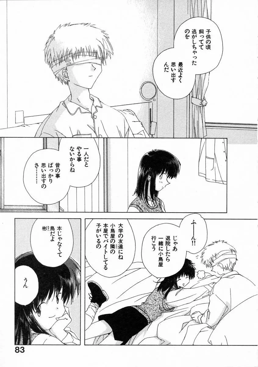 透明な鳥 Page.88